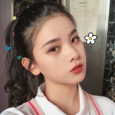 神龙战争游戏下载